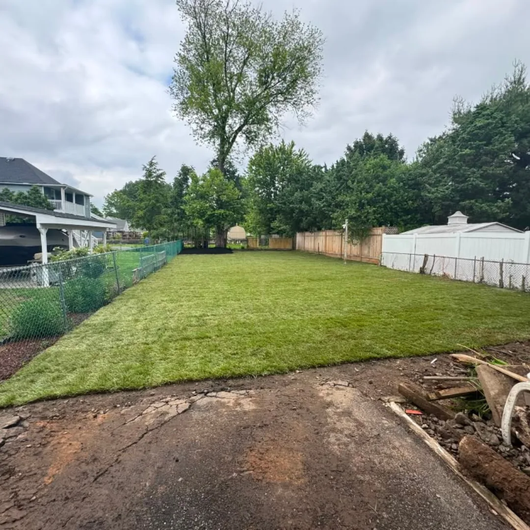 Newly installed green sod in a backyard.