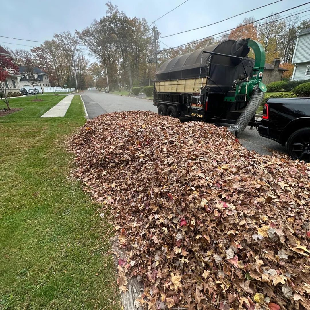 Large pile of autumn leaves next to road
